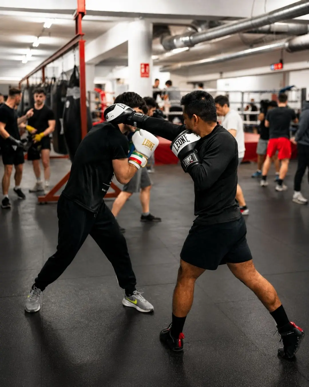 Ilion Boxing Club — kampsport-studio i les Corts, Barcelona