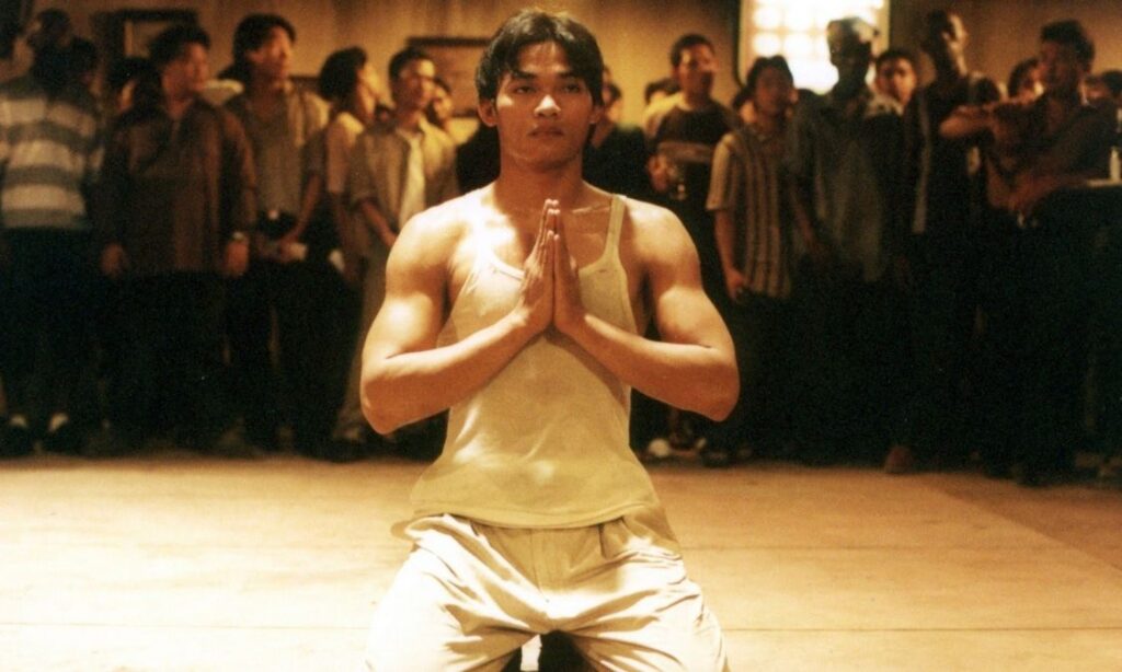 Películas artes marciales