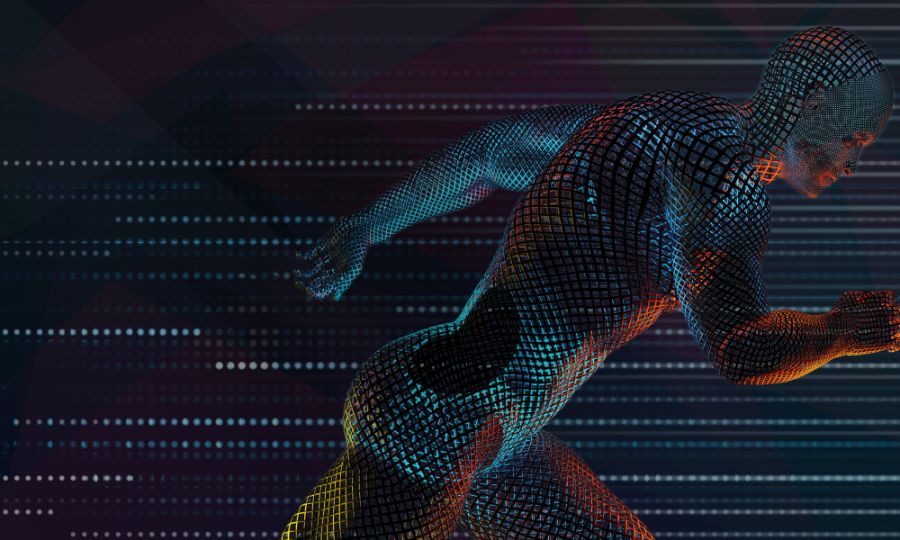 Rutinas de Entrenamiento